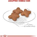 Royal Canin Mini Adult - Complete Food for Adult Small-Breed Dogs, 8 kg