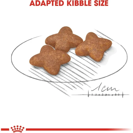 Royal Canin Mini Adult - Complete Food for Adult Small-Breed Dogs, 8 kg