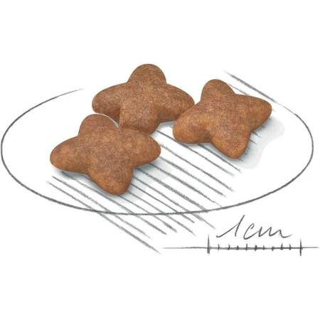 Royal Canin Mini Adult - Complete Food for Adult Small-Breed Dogs, 8 kg