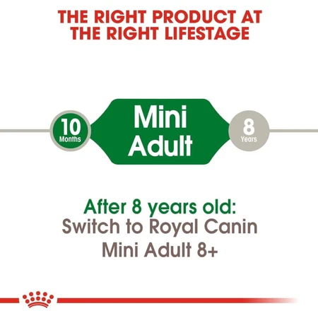 Royal Canin Mini Adult - Complete Food for Adult Small-Breed Dogs, 8 kg