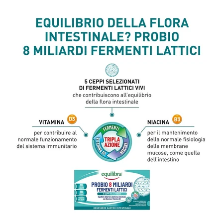 Equilibra Probio 8 Billion – Nahrungsergänzungsmittel mit Milchsäurebakterien, 10 Ampullen