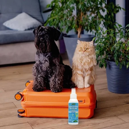Petformance Tandenborstelspray voor honden en katten, 94 ml