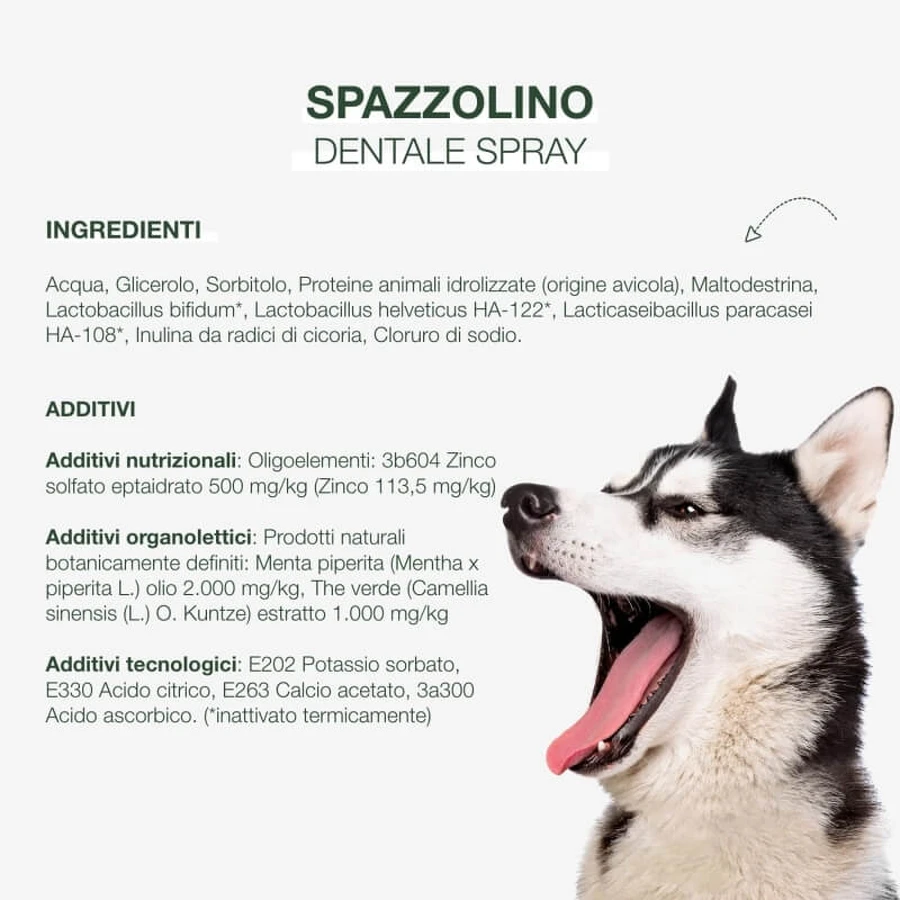 Petformance Tandenborstelspray voor honden en katten, 94 ml