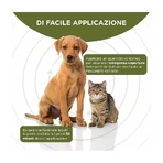 Msd Animal Health Rigenera - Crema dermatológica regeneradora para perros y gatos, 10 g