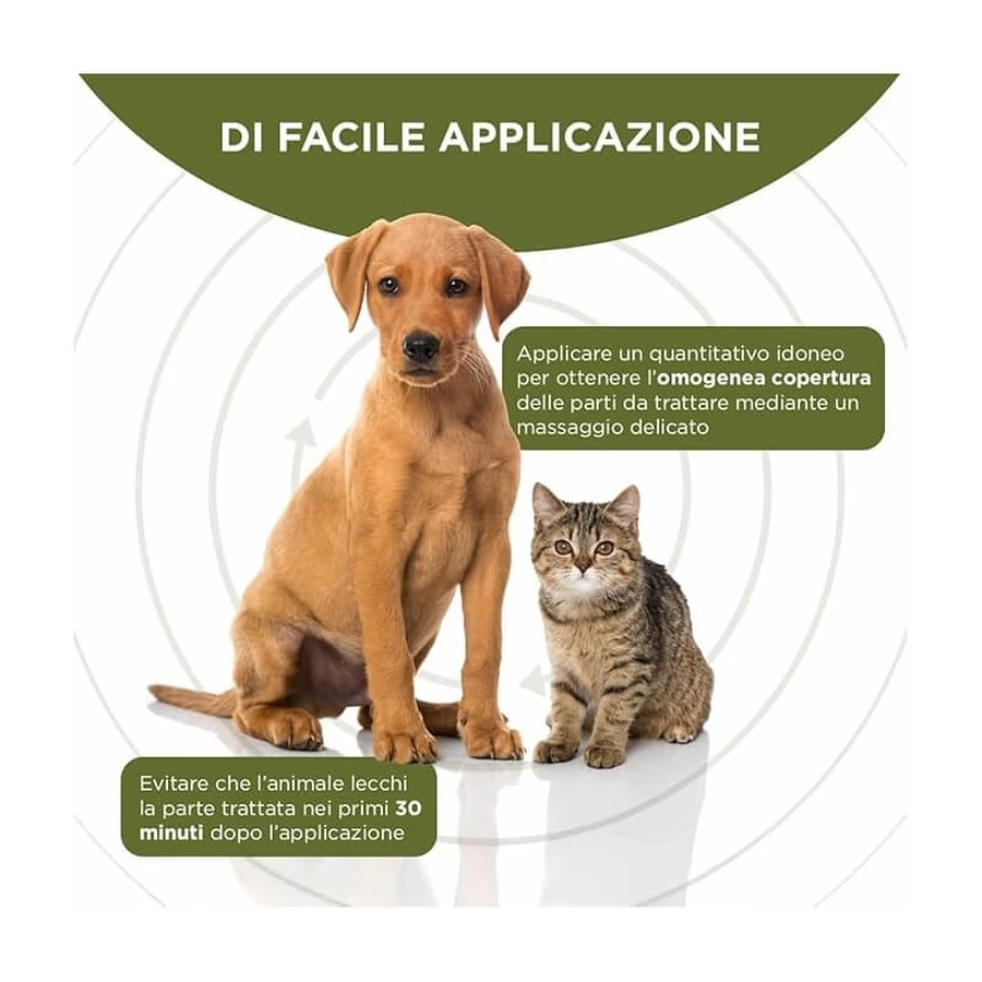 Msd Animal Health Rigenera - Crema dermatológica regeneradora para perros y gatos, 10 g