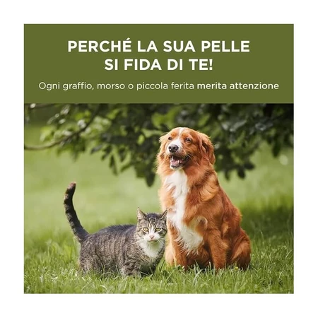Msd Animal Health Rigenera - Crema dermatológica regeneradora para perros y gatos, 10 g