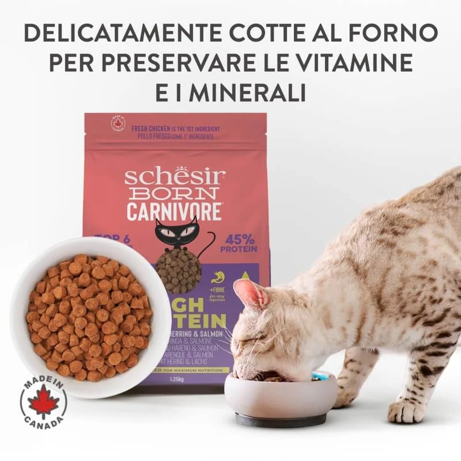 Schesir Born Carnivore Chicken with Herring and Salmon - Complete Food for Adult Cats, 255 g