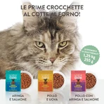 Schesir Born Carnivore Chicken with Herring and Salmon - Complete Food for Adult Cats, 255 g
