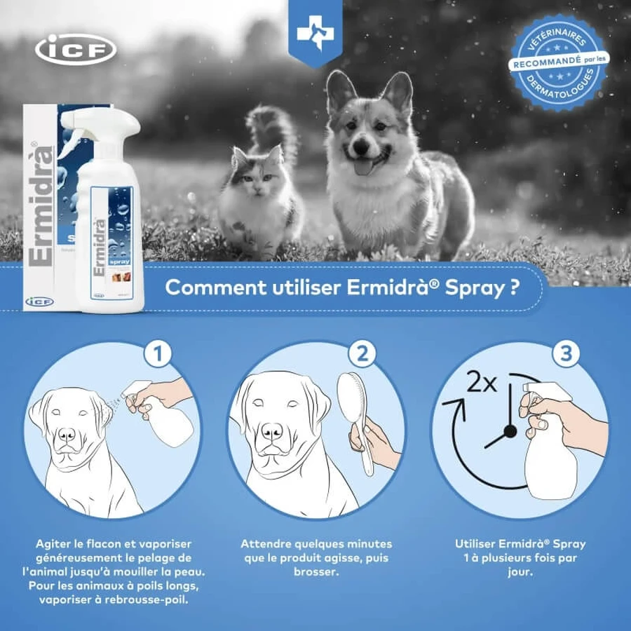 I.c.f. Ermidra Spray voor de droge huid, 300 ml