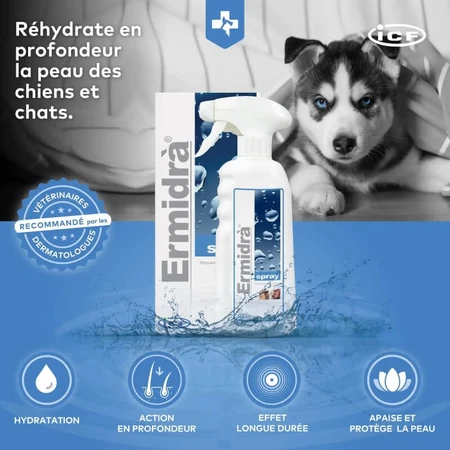 I.c.f. Ermidra Spray voor de droge huid, 300 ml