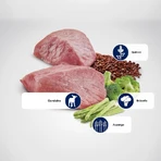 Farmina N&amp;d Quinoa Adult Mini WM Lamm – Alleinfuttermittel für ausgewachsene Mini-Hunde zur Gewichtsregulierung, 140 g