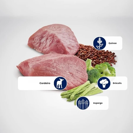 Farmina N&amp;d Quinoa Adult Mini WM Lamm – Alleinfuttermittel für ausgewachsene Mini-Hunde zur Gewichtsregulierung, 140 g