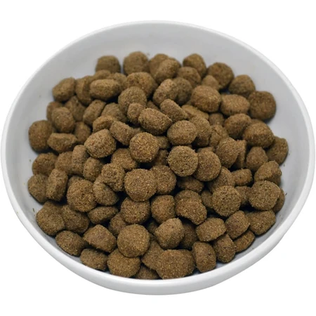 Farmina Vet Life Fórmula para la Obesidad Canina - Alimento dietético completo para perros obesos, 2 kg