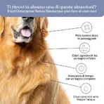Bau Cosmetics Lavendel Reinigingsgel voor honden (hoeft niet uitgespoeld te worden), 250 ml