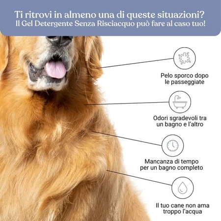 Bau Cosmetics Lavendel Reinigingsgel voor honden (hoeft niet uitgespoeld te worden), 250 ml