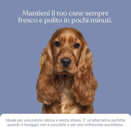 Bau Cosmetics Lavendel Reinigingsgel voor honden (hoeft niet uitgespoeld te worden), 250 ml