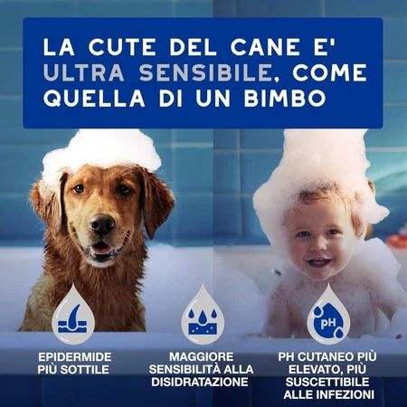 Ceva Animal Health: 100 toallitas perfumadas multiusos para la piel y el pelaje de perros y gatos
