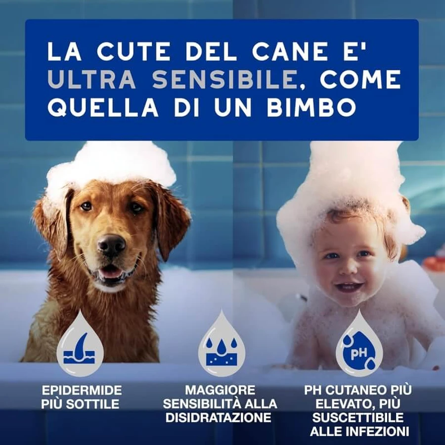 Ceva Animal Health: 100 toallitas perfumadas multiusos para la piel y el pelaje de perros y gatos