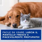 Ceva Animal Health: 100 toallitas perfumadas multiusos para la piel y el pelaje de perros y gatos