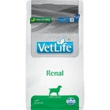 Farmina Vet Life Canine Renal Formula - Complete Dietary Food for Dogs with Kidney Failure, 2 kg