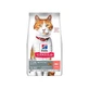 Hill's Science Plan voor volwassen gecastreerde katten 1-6 – droogvoer voor katten, 300 g