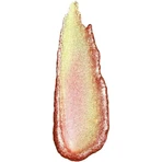 Mesauda Galactic Shadow - Liquid Eyeshadow No. 106 Supernatural