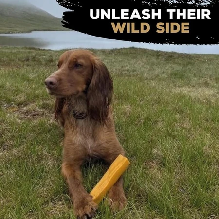 Tasty Bone Yak Cheese - Dog Toy
