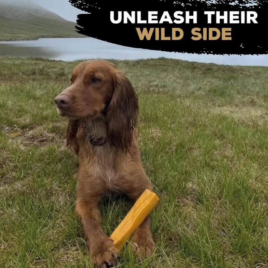Tasty Bone Yak Cheese - Dog Toy