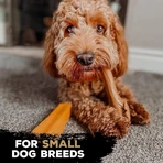 Tasty Bone Yak Cheese - Dog Toy