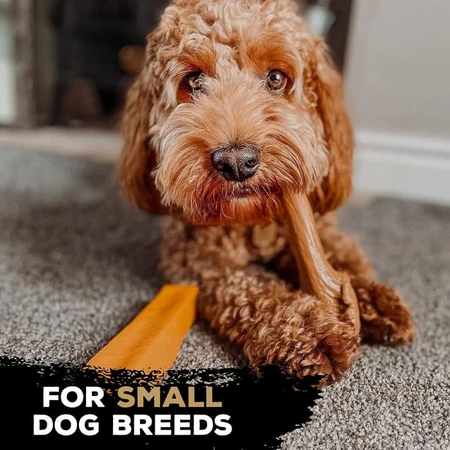 Tasty Bone Yak Cheese - Dog Toy