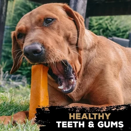 Tasty Bone Yak Cheese - Dog Toy