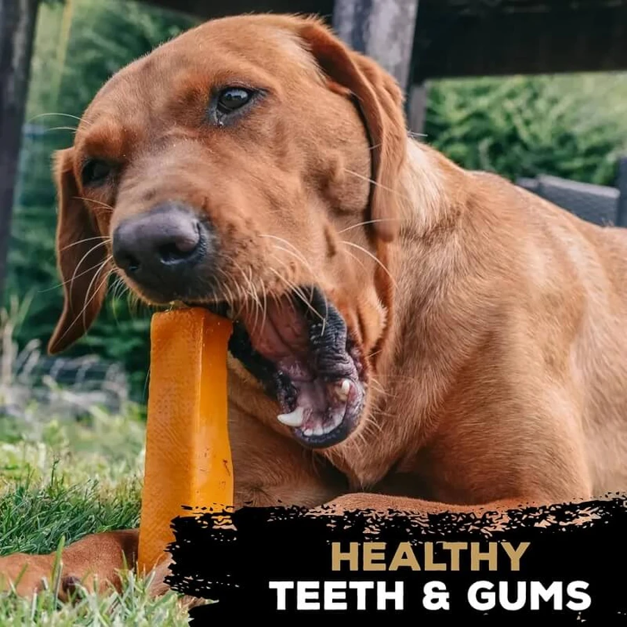 Tasty Bone Yak Cheese - Dog Toy