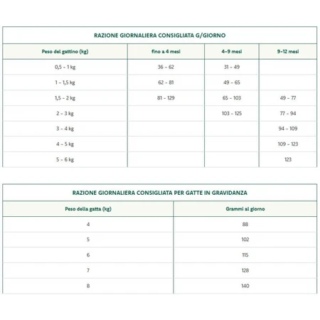 Oasy Kitten Fórmula Superior de Atún - Alimento completo para gatitos y gatas gestantes o lactantes, 300 g