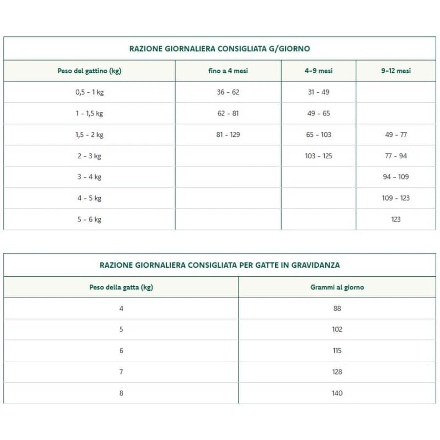 Oasy Kitten Fórmula Superior de Atún - Alimento completo para gatitos y gatas gestantes o lactantes, 300 g