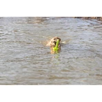 Trixie Aqua Toy Mot - Floating Water Toy for Dogs, 29 cm