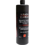 Champú nutritivo con complejo de retinol para cabello seco y encrespado, 1000 ml