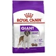 Royal Canin Giant Adult Dogs - Dry Dog Food for Large Breeds, 15 kg