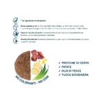 Forza10 Maintenance Medium Adult Deer & Potato - Complete Dog Food, 12 kg