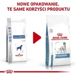 Royal Canin Anallergenic - Alimento completo para perros con alergias e intolerancias alimentarias, 8 kg