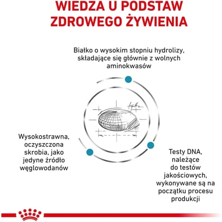 Royal Canin Anallergenic - Alimento completo para perros con alergias e intolerancias alimentarias, 8 kg