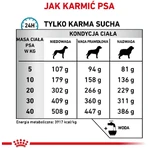 Royal Canin Anallergenic - Alimento completo para perros con alergias e intolerancias alimentarias, 8 kg