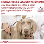 Royal Canin Anallergenic - Alimento completo para perros con alergias e intolerancias alimentarias, 8 kg