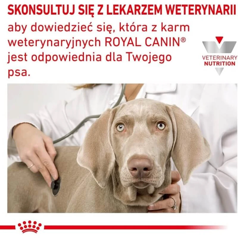 Royal Canin Anallergenic - Alimento completo para perros con alergias e intolerancias alimentarias, 8 kg