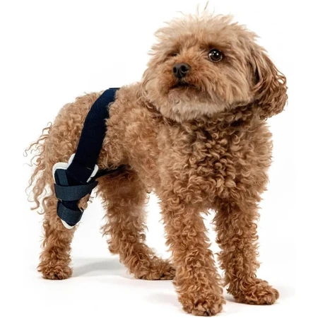 Balto Jump - Orthopedic Knee Brace for the Right Knee for Dogs, Size XXS