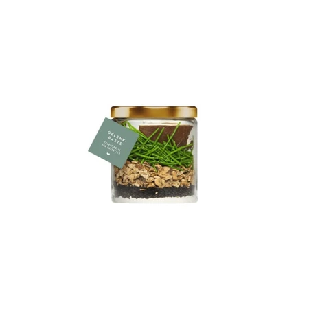 Terra Canis Joint Care Pasta – een aanvullend voer voor de gezondheid van de gewrichten van honden, 250 ml