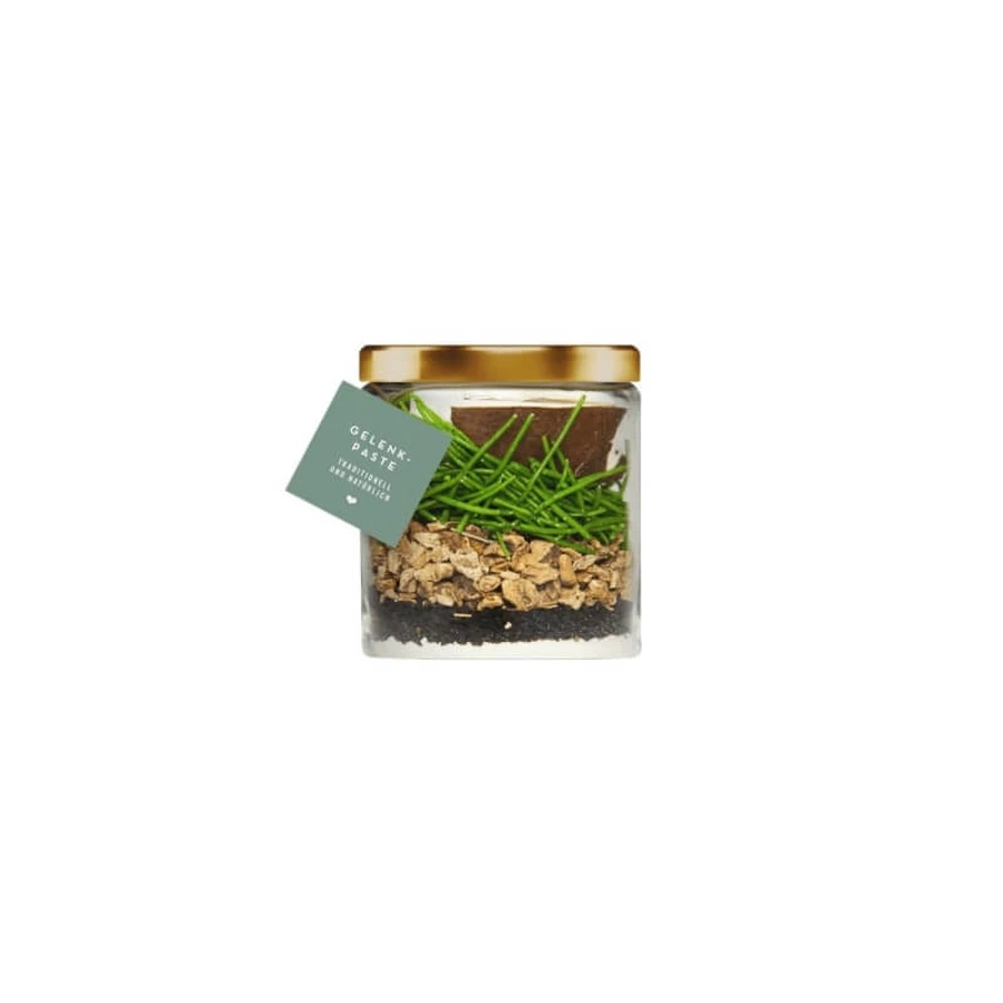 Terra Canis Joint Care Pasta – een aanvullend voer voor de gezondheid van de gewrichten van honden, 250 ml