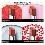 Sérum Givenchy Rose Perfecto Shine - Rouge à lèvres hybride n° 117 Chilling Brown
