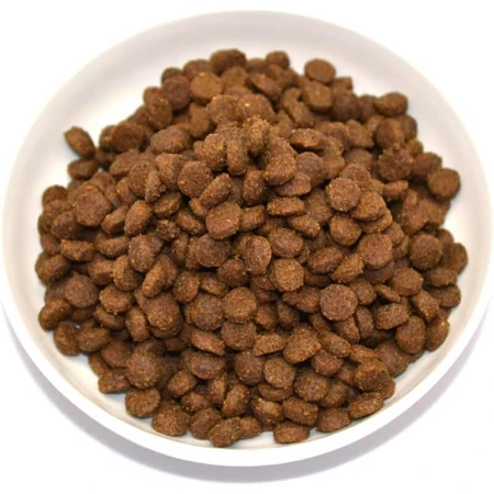 Farmina N&amp;d Pumpkin Adult con codorniz, calabaza y granada - Pienso completo para gatos, 300 g