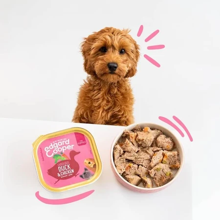 Aliment pour chiots sans céréales Edgard & Cooper à l'agneau et au poulet - Aliment complet pour chiots en pleine croissance, 150 g