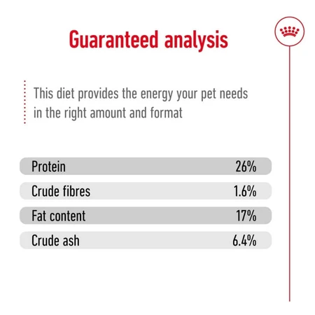 Royal Canin Maxi Adult 5+ - Pienso para perros adultos de razas grandes, 4 kg
